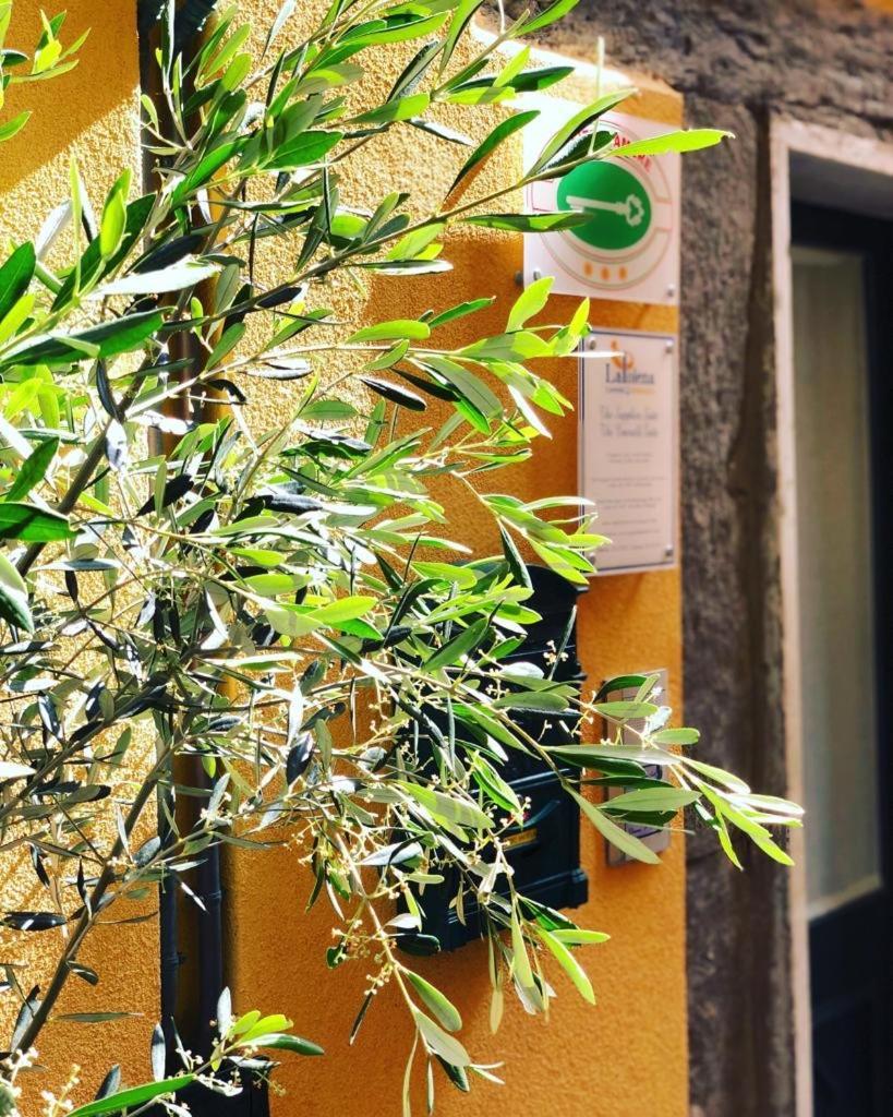 La Polena Camere Vernazza - Suite Vista Mare Exterior foto